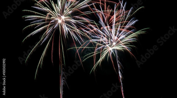 Obraz Feu d'artifice 