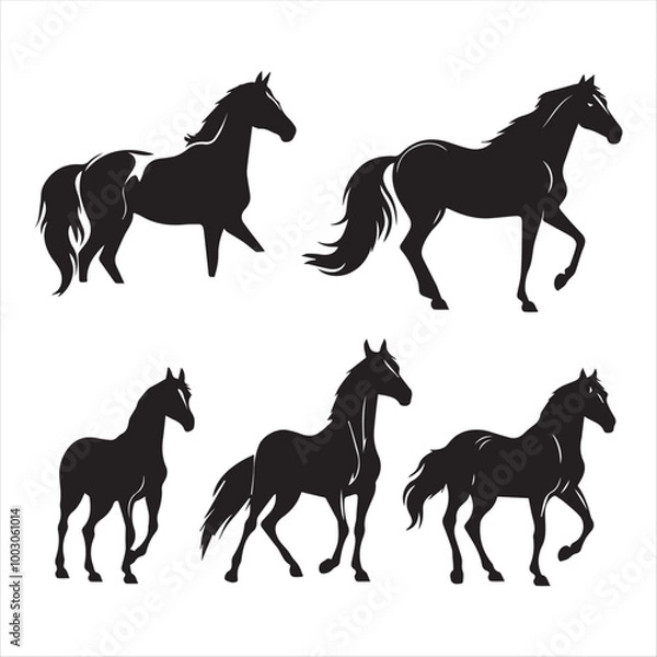 Fototapeta silhouette of a horse