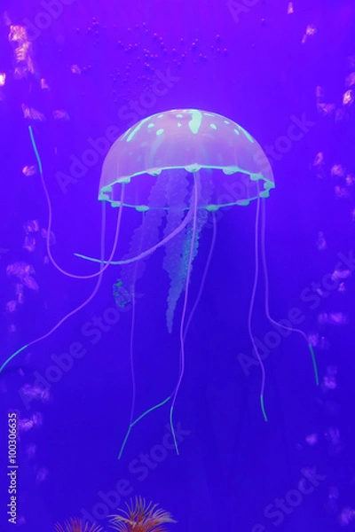 Fototapeta Jellyfish