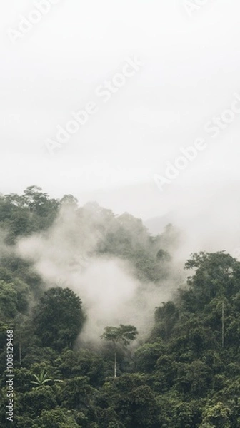 Obraz A view of a forested area with trees in the foreground