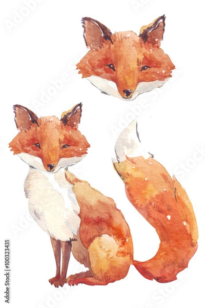 Fototapeta fox watercolor stylization