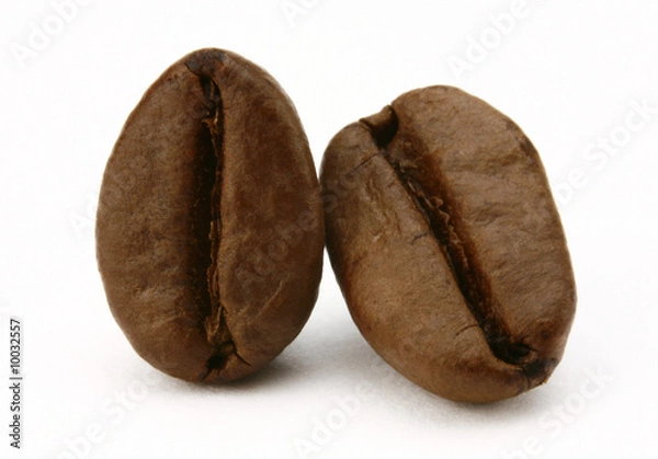 Obraz chicchi di caffè