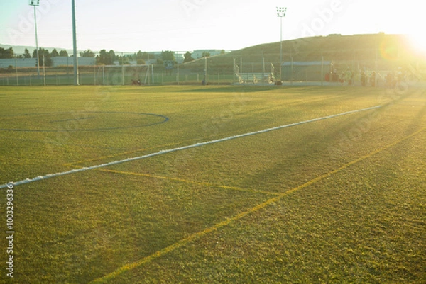 Obraz Artificial turf sports field in afternoon sunset, background