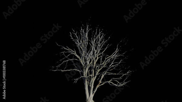 Obraz Dead tree in dark background 