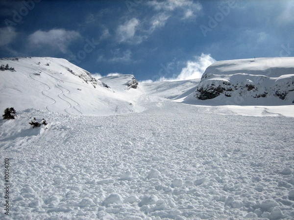 Obraz Avalanche - Déclenchement artificiel