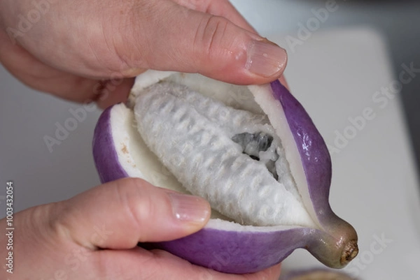 Obraz 山形の郷土料理 あけびの肉みそ詰めの調理過程〜皮を開きタネを取り出す
