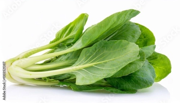 Obraz Tatsoi on white background. Tatsoi Isolated.