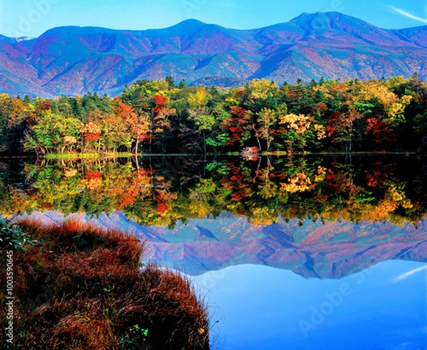 Fototapeta 知床五湖の紅葉（斜里町）