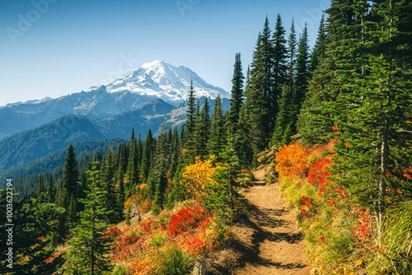 Fototapeta Mount Rainier view from Naches Peak Loop Trail, autumn colors in Mt. Rainier National Park	