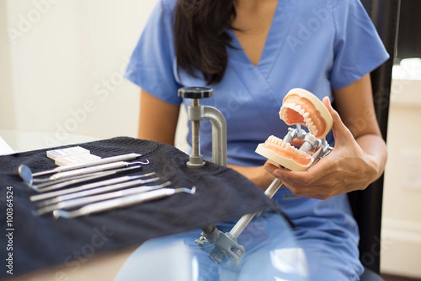 Obraz Closeup portrait, young oral professional student practicing dental procedures on plastic teeth, wax typodont mounted on table. Drilling cavity preparations and filling with restorative materials