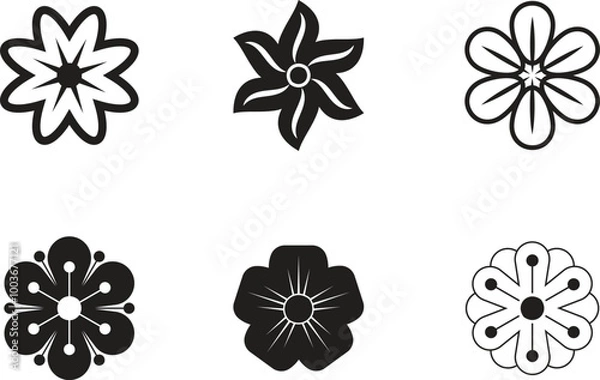 Obraz Flower Petals Black Vector illustration on White Background.