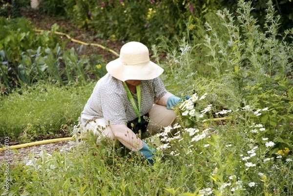 Fototapeta gärtnerin