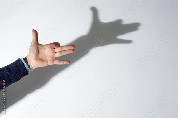 Fototapeta shadow play dog