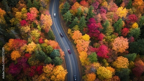 Fototapeta Aerial View of a Winding Road Through a Forest with Vibrant Autu