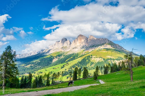 Obraz Dolomiten - Rosengarten