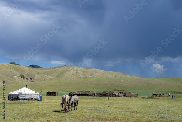 Obraz mongolian yurt and horses