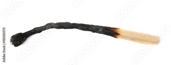 Obraz Burnt match stick isolated