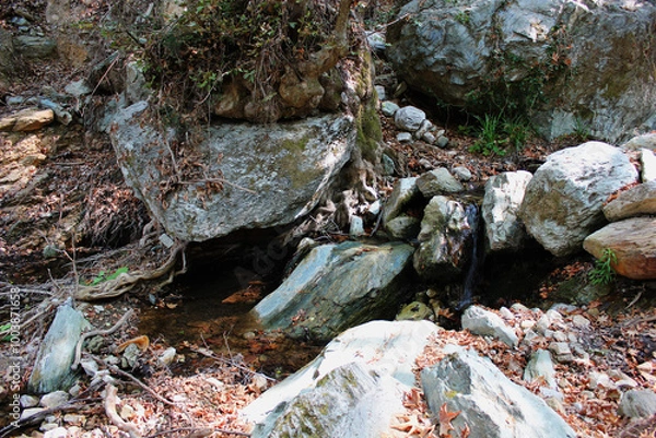 Fototapeta The path of the centaurs (after Cyclone Daniel) Portaria Pelion Greece