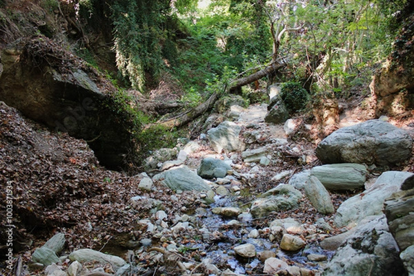 Fototapeta The path of the centaurs (after Cyclone Daniel) Portaria Pelion Greece