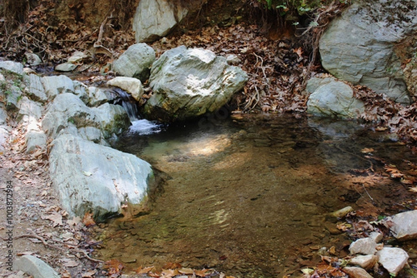 Fototapeta The path of the centaurs (after Cyclone Daniel) Portaria Pelion Greece