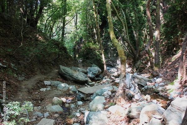 Fototapeta The path of the centaurs (after Cyclone Daniel) Portaria Pelion Greece