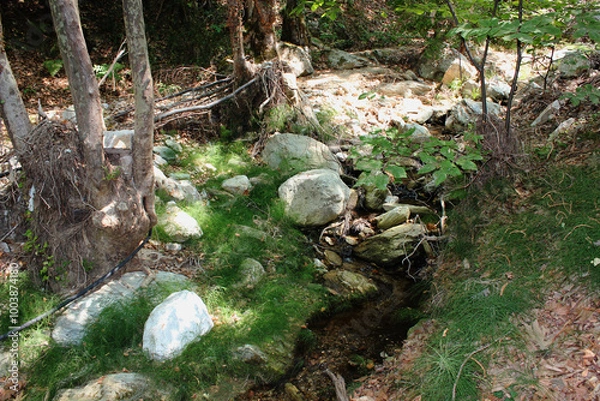 Fototapeta The path of the centaurs (after Cyclone Daniel) Portaria Pelion Greece