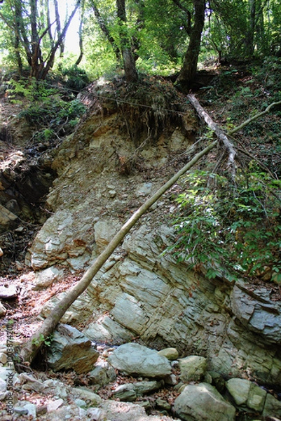Fototapeta The path of the centaurs (after Cyclone Daniel) Portaria Pelion Greece