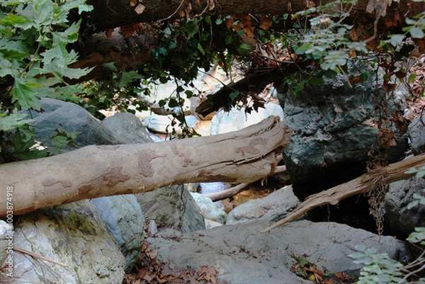 Fototapeta The path of the centaurs (after Cyclone Daniel) Portaria Pelion Greece