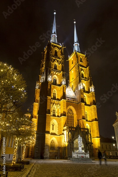 Fototapeta Night photo of illuminated St. John the Baptist Cathedral in Wroclaw, Poland