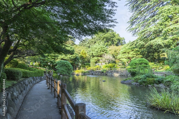 Fototapeta 馬事公苑の日本庭園