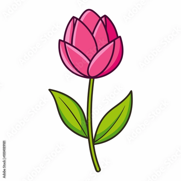Fototapeta Blossoming roses of different colors. Rose flowers in yellow, red and pink colors isolated on white background. Vector illustration in cartoon flat