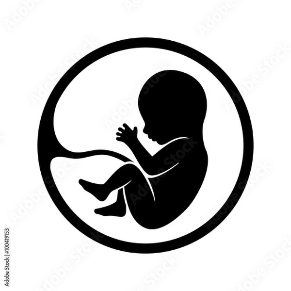 Fototapeta Fetus Icon Isolated on White Background