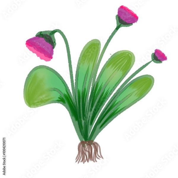 Obraz pink lily flower