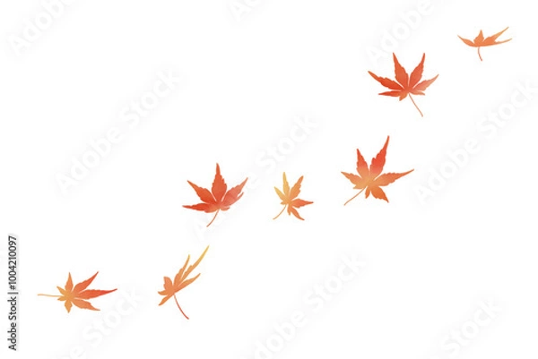 Fototapeta 舞う紅葉　水彩　赤