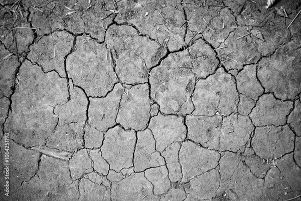 Fototapeta A close up of a cracked and broken surface
