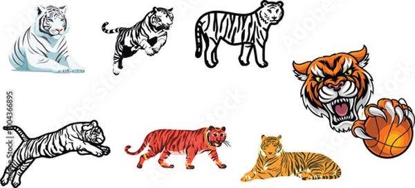 Fototapeta set of tiger