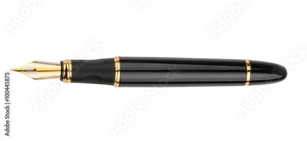 Obraz Pióro wieczne na białym tle