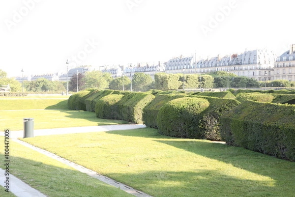 Fototapeta parc tuilerie