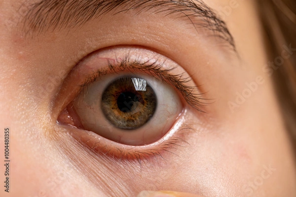 Fototapeta Macro photo of human eye, iris, pupil, eye lashes, eye lids.