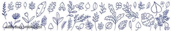 Fototapeta Leaves and flowers sketch collection. Hand drawn vector illustration set. Blue pen or marker leaf drawing. Primitive kids picture