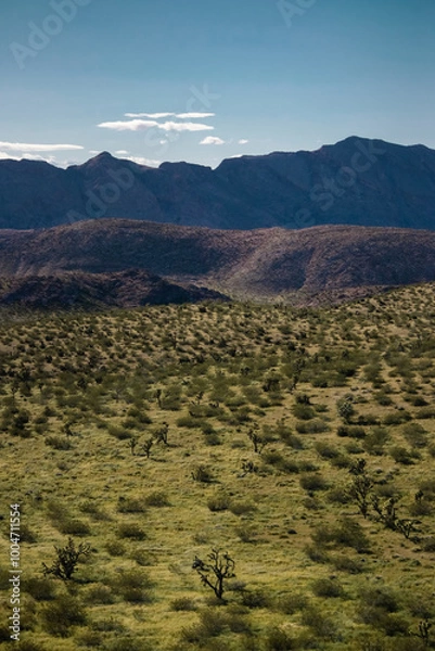 Obraz landscape in desert valley