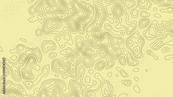 Obraz Abstract isolated old topographic map background. Geographic pattern or landscape with grid. Mountain terrain or path. Cartography relief. Vector illustration.