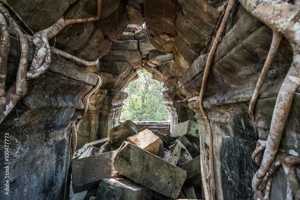 Obraz Tree roots breaking through an archway at beng meala ruined temple 40 km east of Angkor wat.