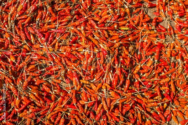 Obraz Karen hill tribe chilli's drying in the sun
