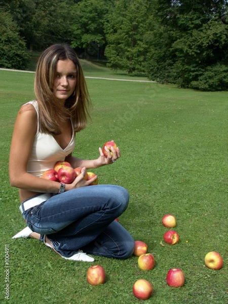 Obraz gepflückte äpfel