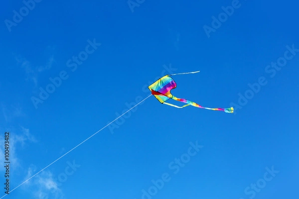 Obraz Kite in blue sky background