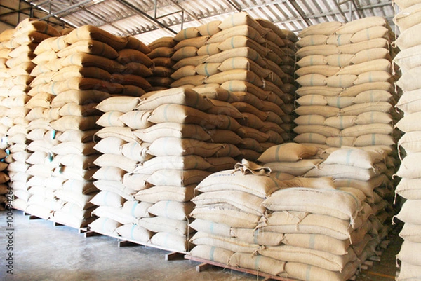 Fototapeta Hemp sacks containing rice 