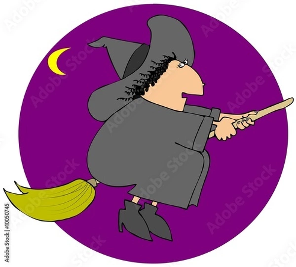 Fototapeta Witch On A Broom