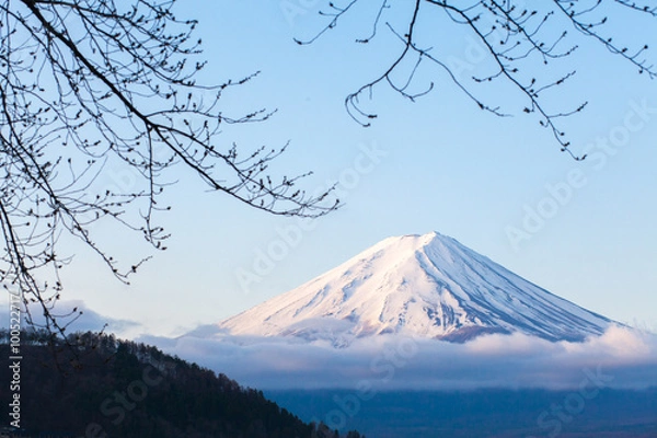 Obraz Fuji mountain