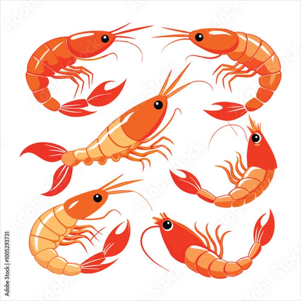 Fototapeta Colorful shrimp vector illustration